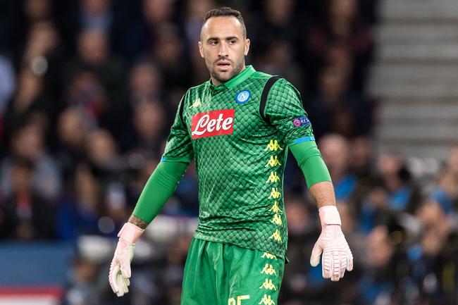 荷兰队创最差战绩，排协公告球队降级转战二级赛事争积分（荷兰队战绩创低谷，协会官宣降级改征次级赛事抢分）